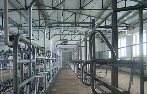 瑞海（GEA）9JGD-YG-16鱼骨式电子计量型挤奶机