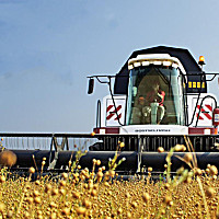 罗斯托夫ACROS 595 Plus型联合收割机