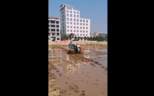 浙江四方手扶拖拉机中的战斗机-作业视频