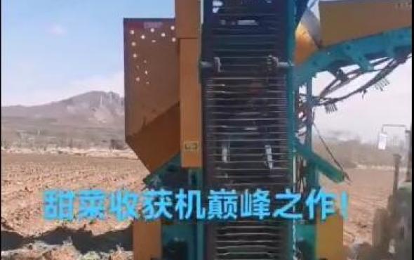 北大荒众荣两行甜菜收获机作业视频