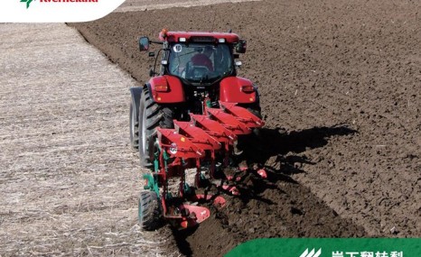 格兰岸下翻转犁