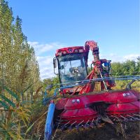 牧神4QZ-3000A自走式青(黄)贮饲料收获机