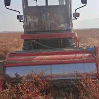 雷神辣椒收割机